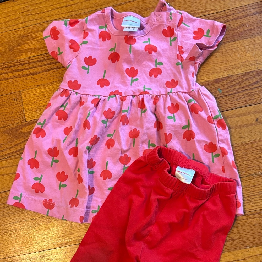 Hanna Andersson Pink Tulip Print Dress with Red Leggings